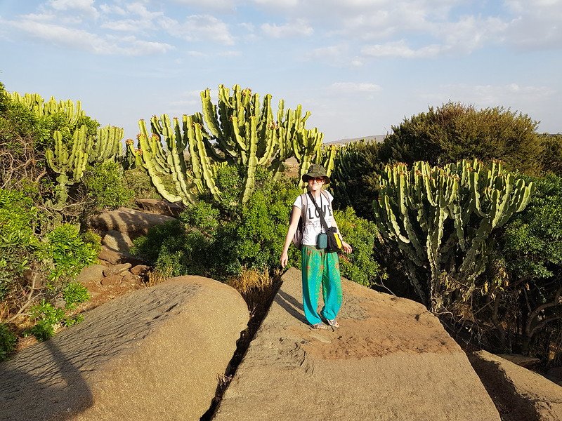 Co warto zobaczyć w okolicach Aksum Etiopia