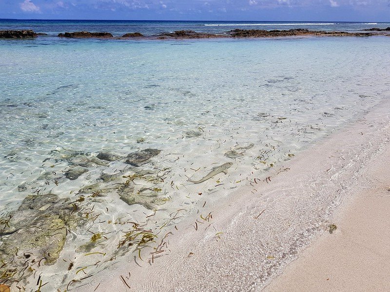 najpiękniejsza wyspa lokalna na malediwach