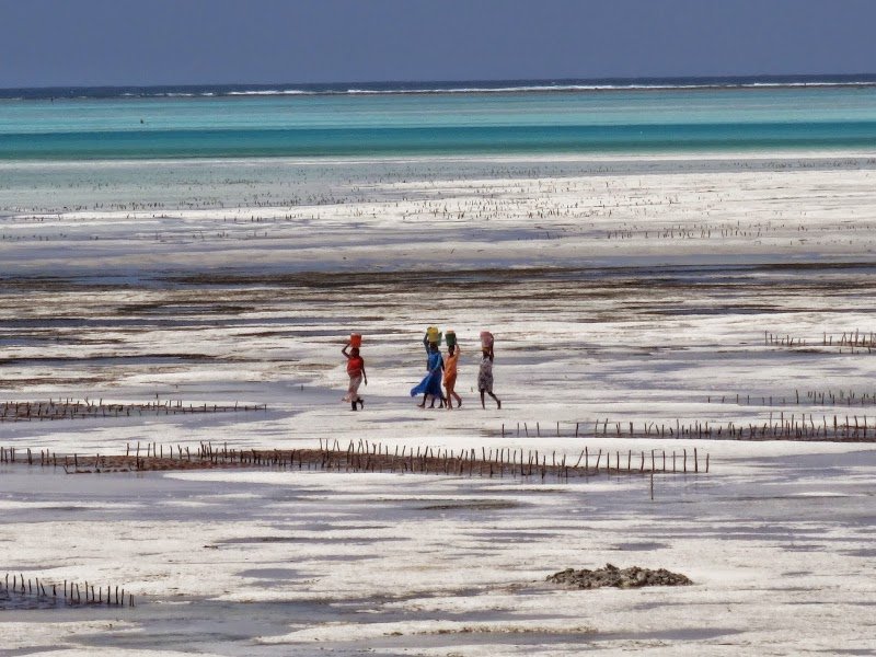 najpiękniejsze plaże na Zanzibarze