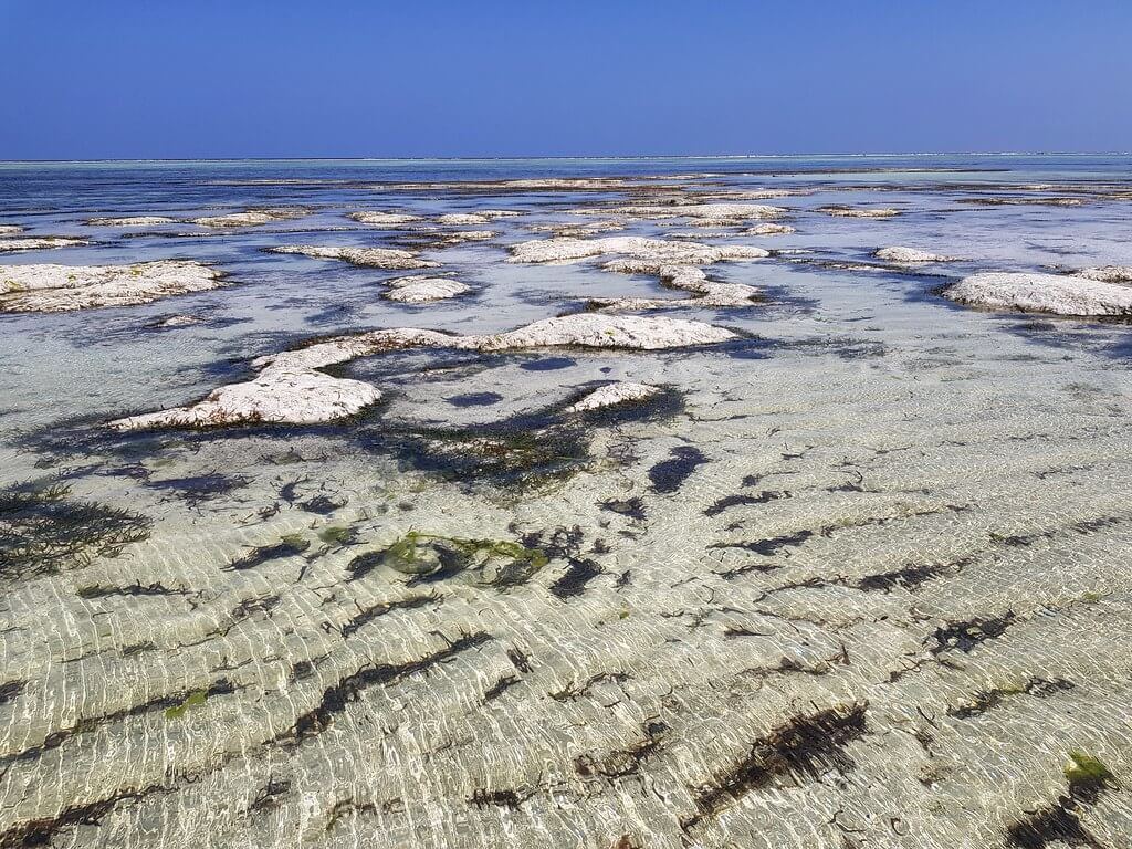 najpiękniejsze plaże na Zanzibarze