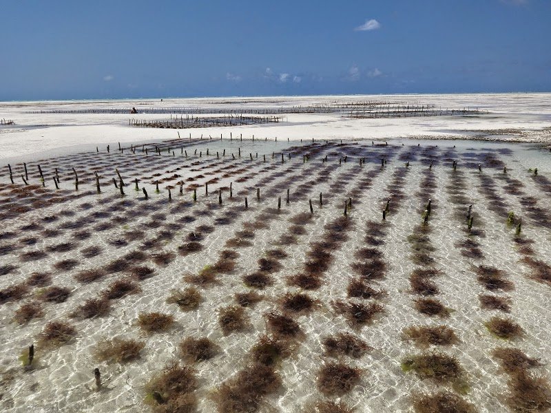 najpiękniejsze plaże na Zanzibarze