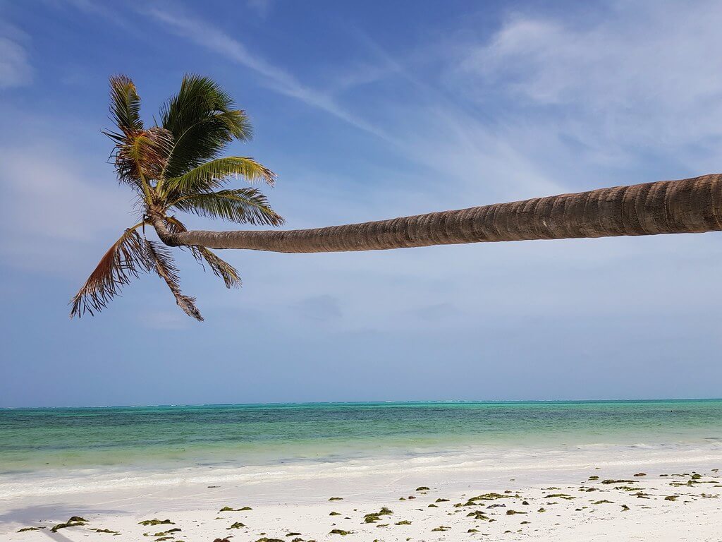gdzie plażować na Zanzibarze