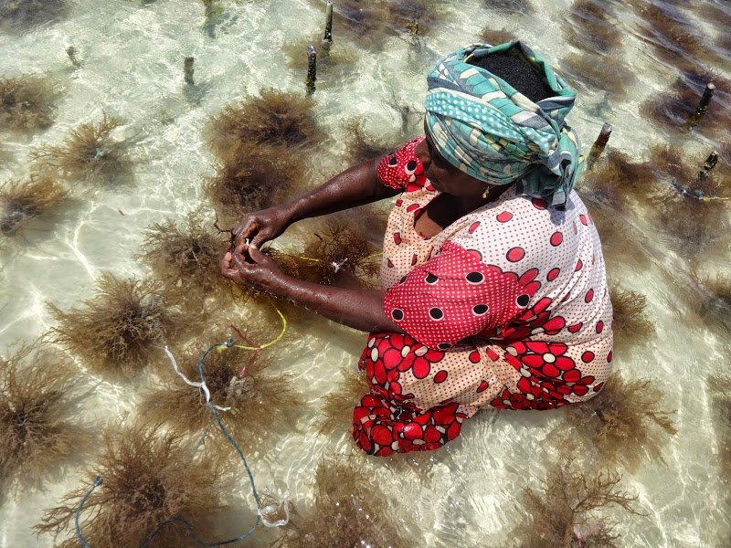 najpiękniejsze plaże na Zanzibarze